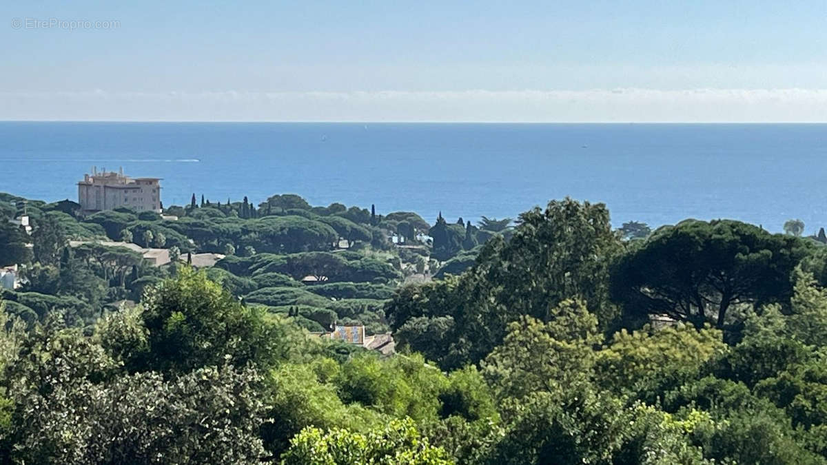 Terrain à ROQUEBRUNE-SUR-ARGENS