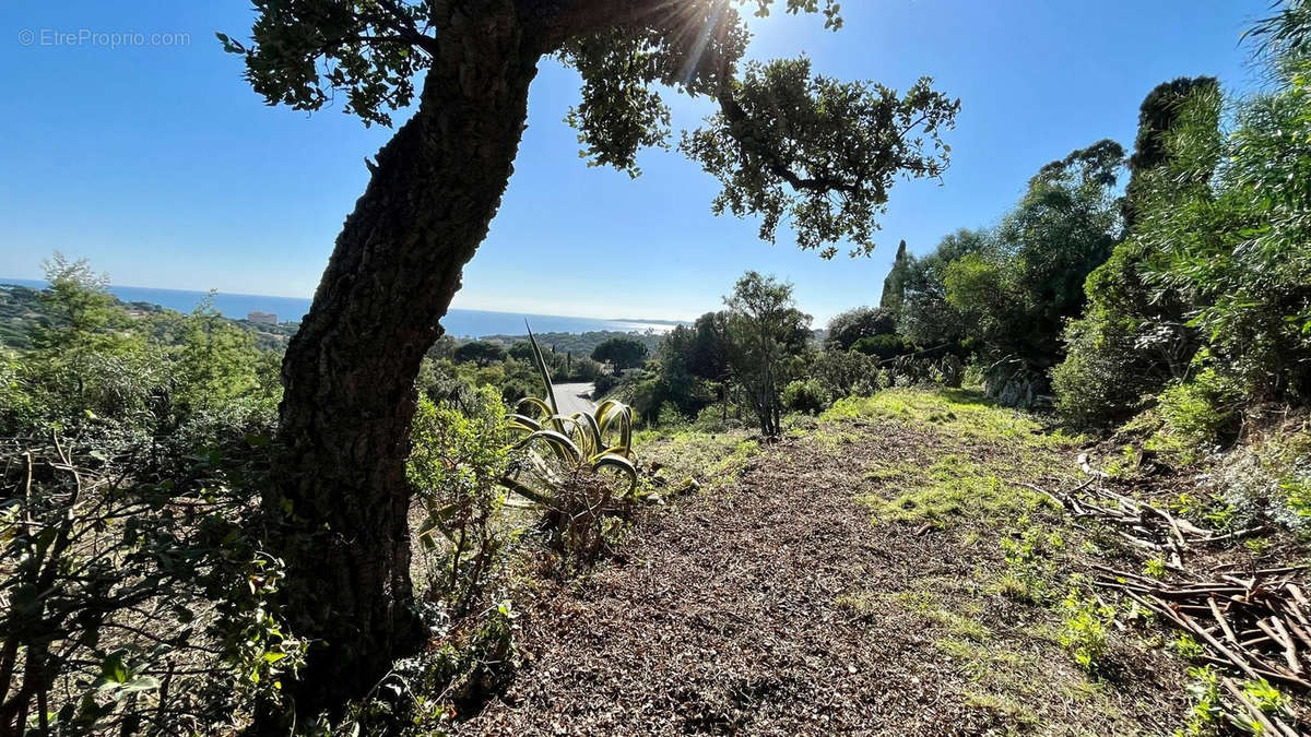 Terrain à ROQUEBRUNE-SUR-ARGENS