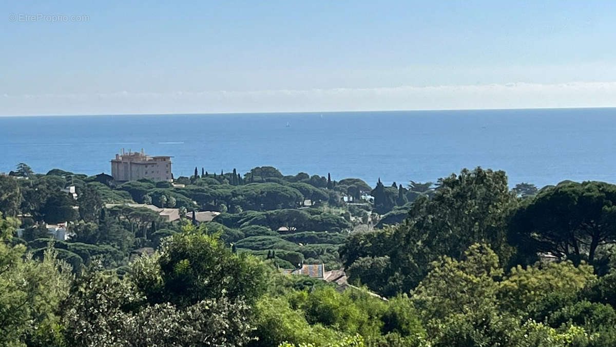 Terrain à ROQUEBRUNE-SUR-ARGENS