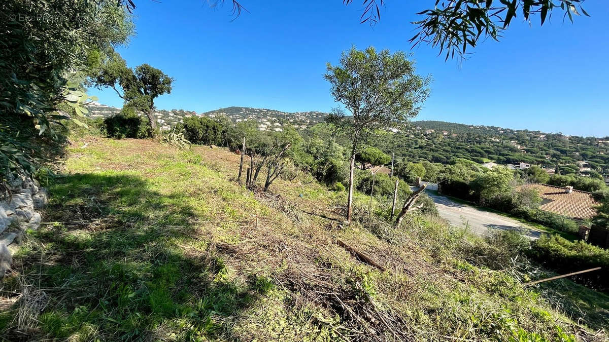 Terrain à ROQUEBRUNE-SUR-ARGENS