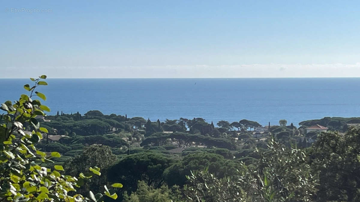 Terrain à ROQUEBRUNE-SUR-ARGENS