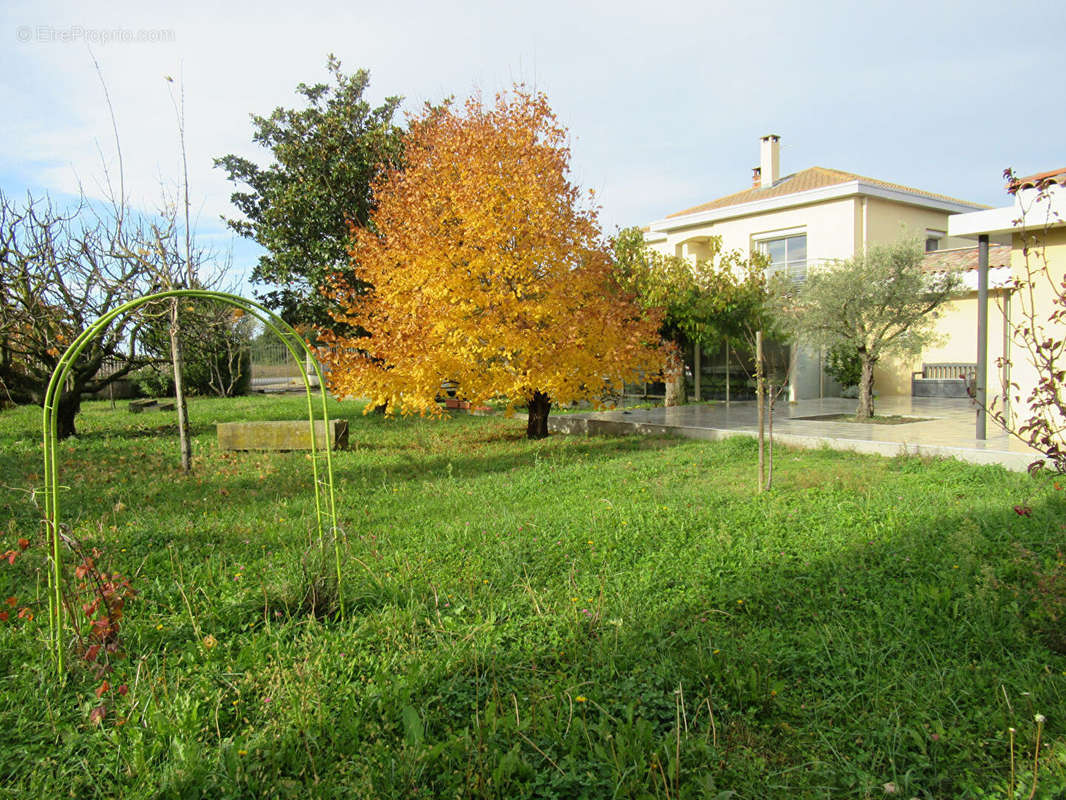 Maison à ALTHEN-DES-PALUDS