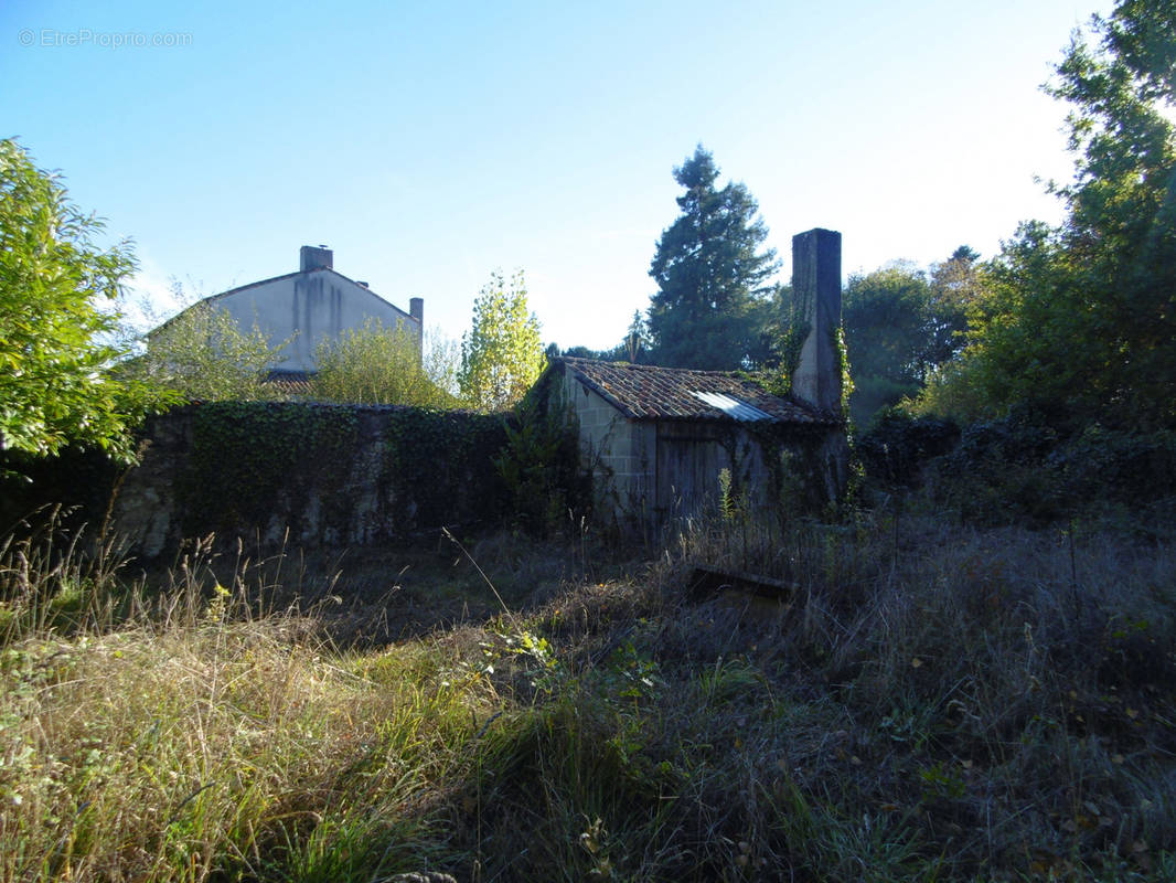 Terrain à CHATILLON-SUR-THOUET