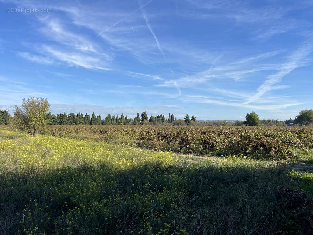 Terrain à BERRE-L&#039;ETANG