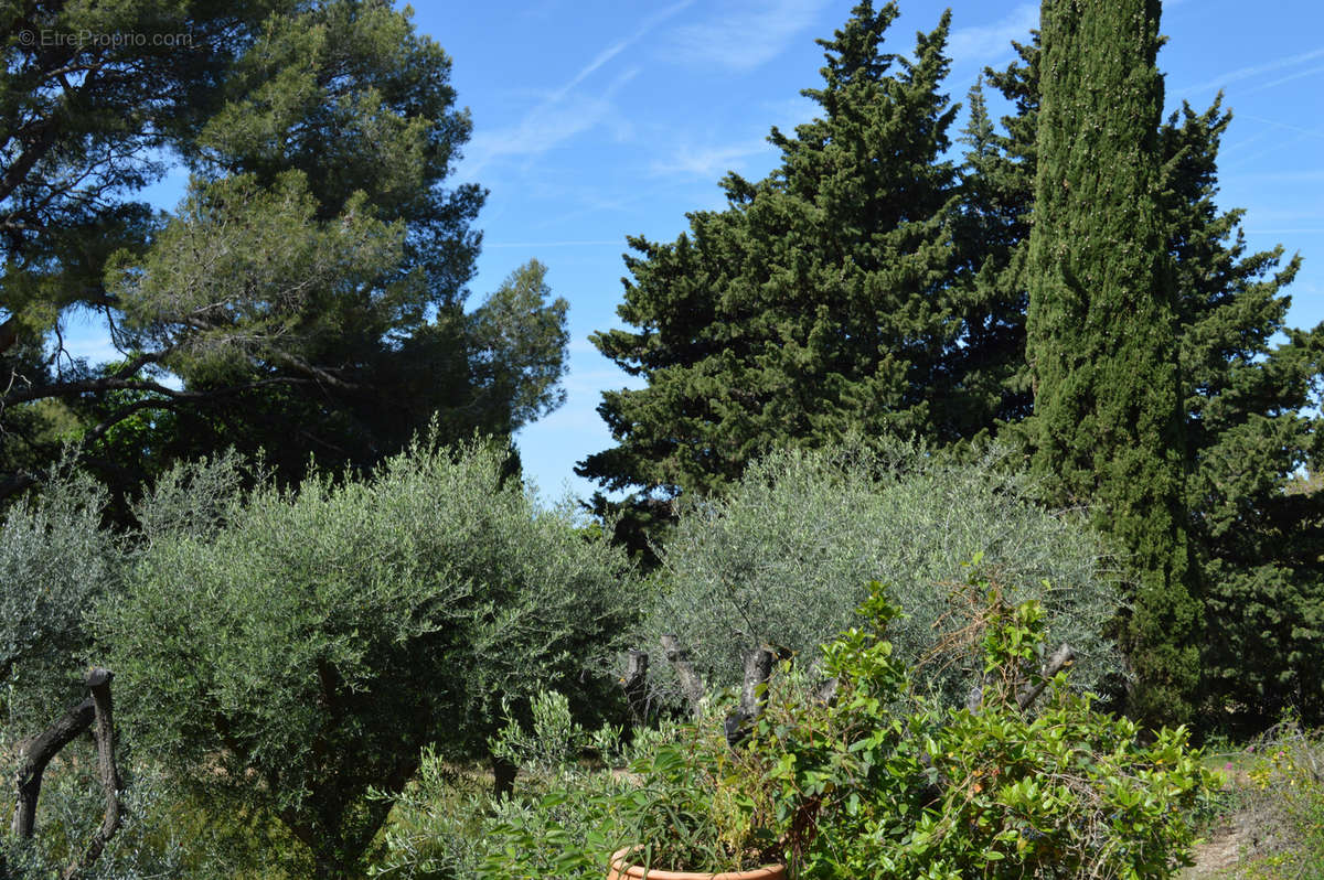 Maison à SANARY-SUR-MER