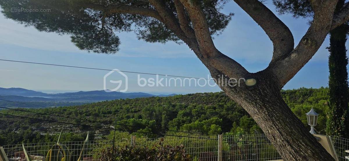 Terrain à LE CASTELLET