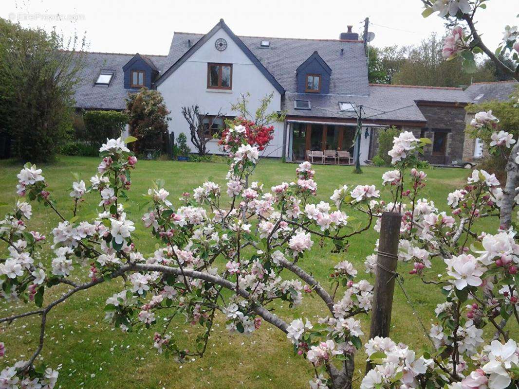 Maison à PLONEVEZ-DU-FAOU