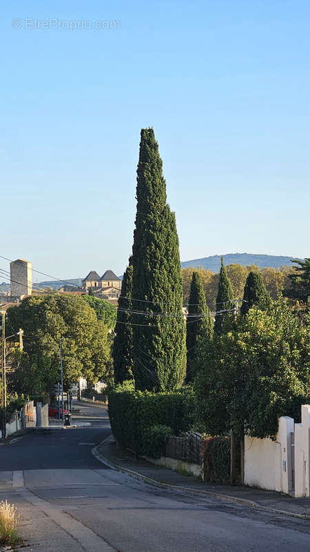 Terrain à PIGNAN