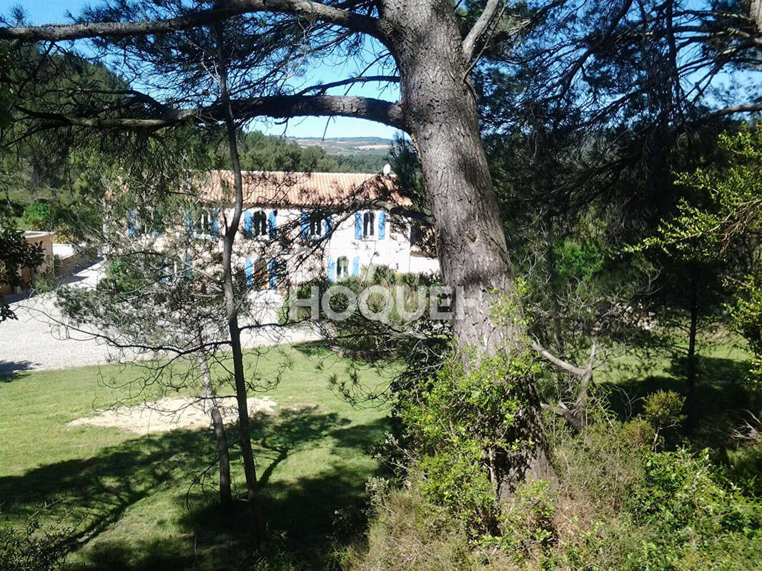 Maison à MINERVE