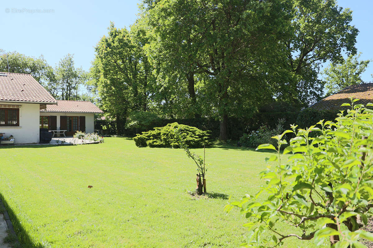 Maison à ANDERNOS-LES-BAINS