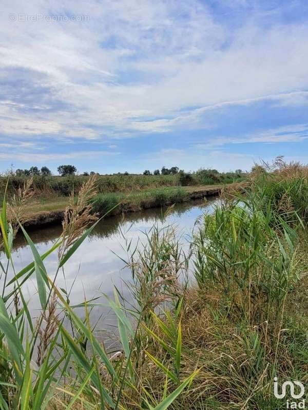 Photo 2 - Terrain à SAINT-BONNET-SUR-GIRONDE