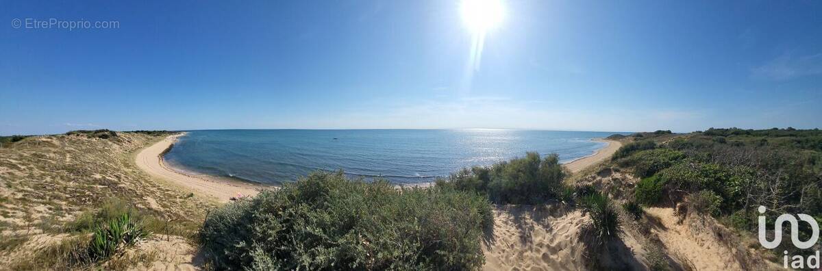 Photo 2 - Terrain à SAINT-GEORGES-D&#039;OLERON