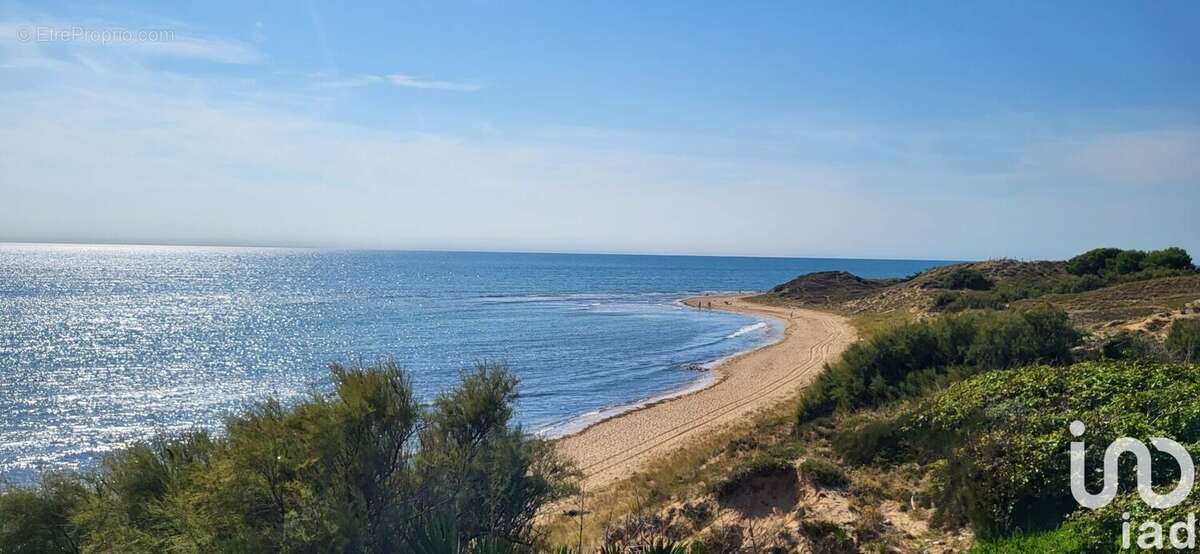 Photo 3 - Terrain à SAINT-GEORGES-D&#039;OLERON