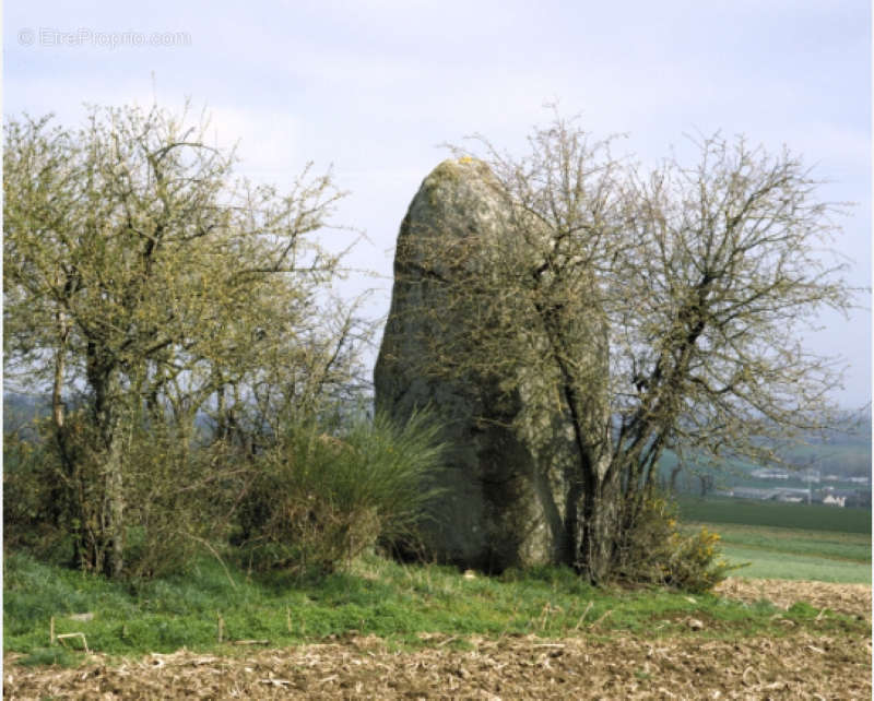 Maison à PLENEE-JUGON