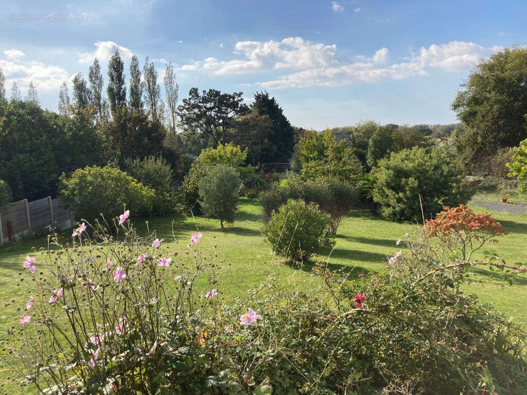 Terrain à HAUTEVILLE-SUR-MER