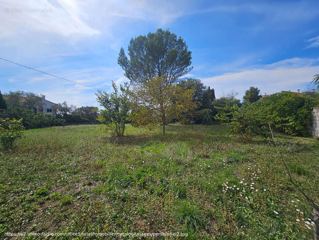 Terrain à LORGUES