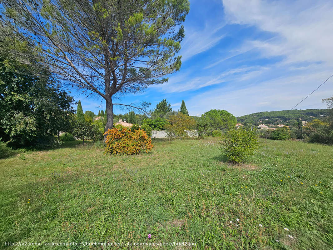 Terrain à LORGUES