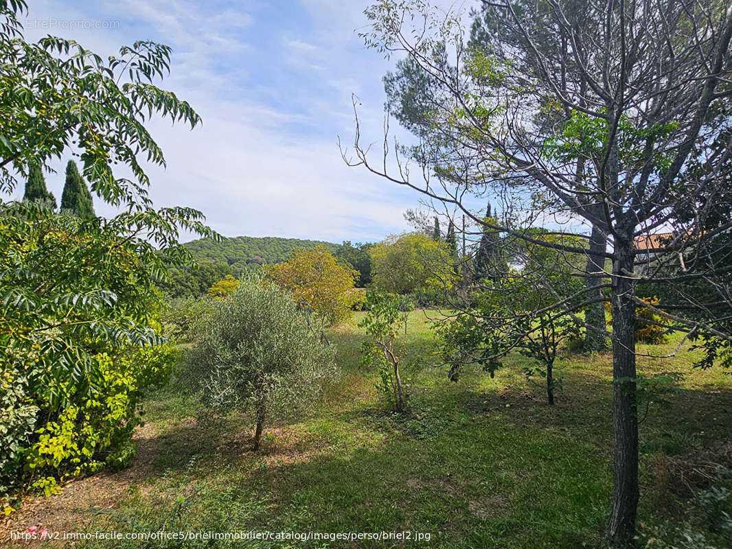 Terrain à LORGUES