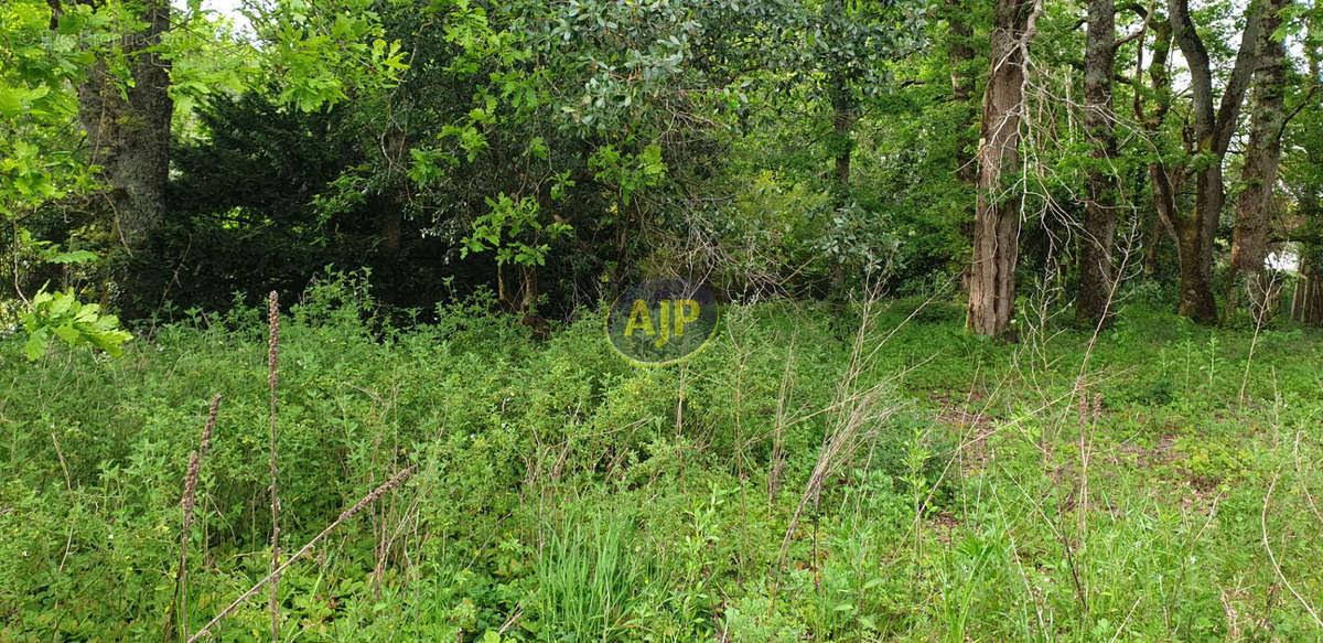 Terrain à SAINT-VIVIEN-DE-MEDOC