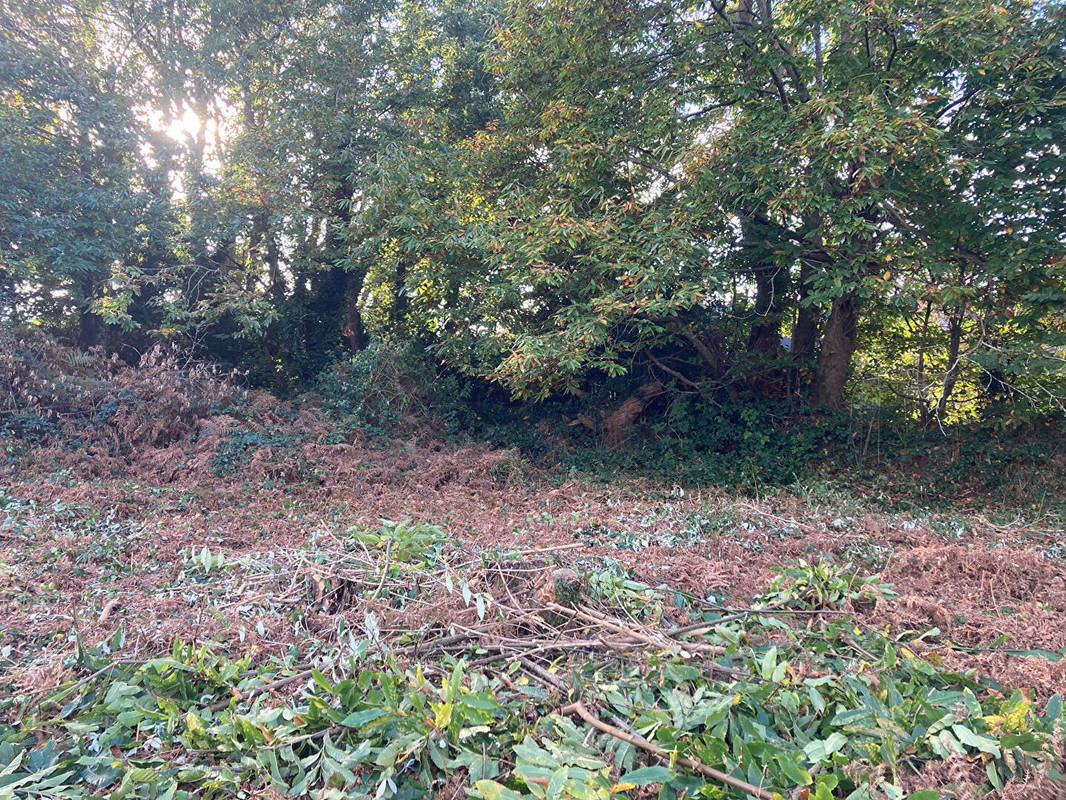 Terrain à QUIMPER