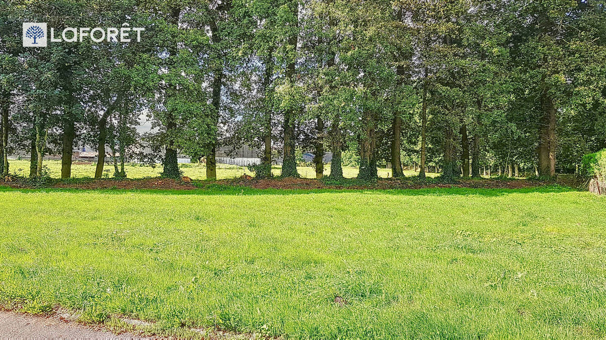 Terrain à FAUVILLE-EN-CAUX