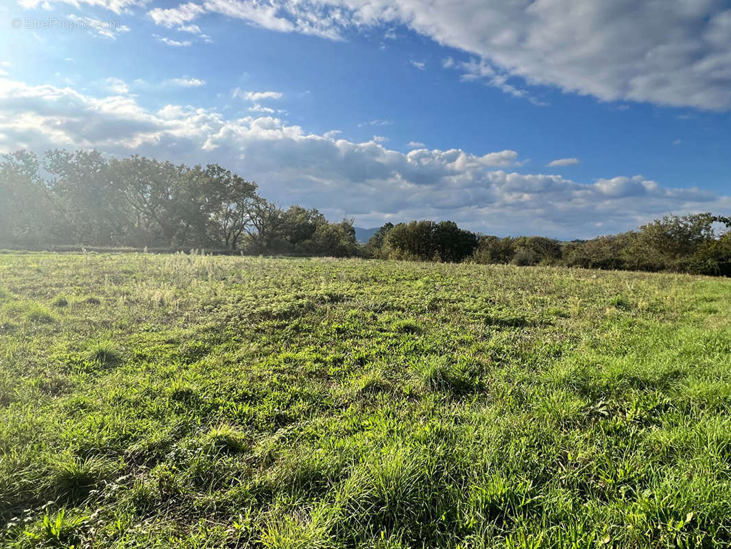 Terrain à SAINT-VICTOR-DE-MALCAP