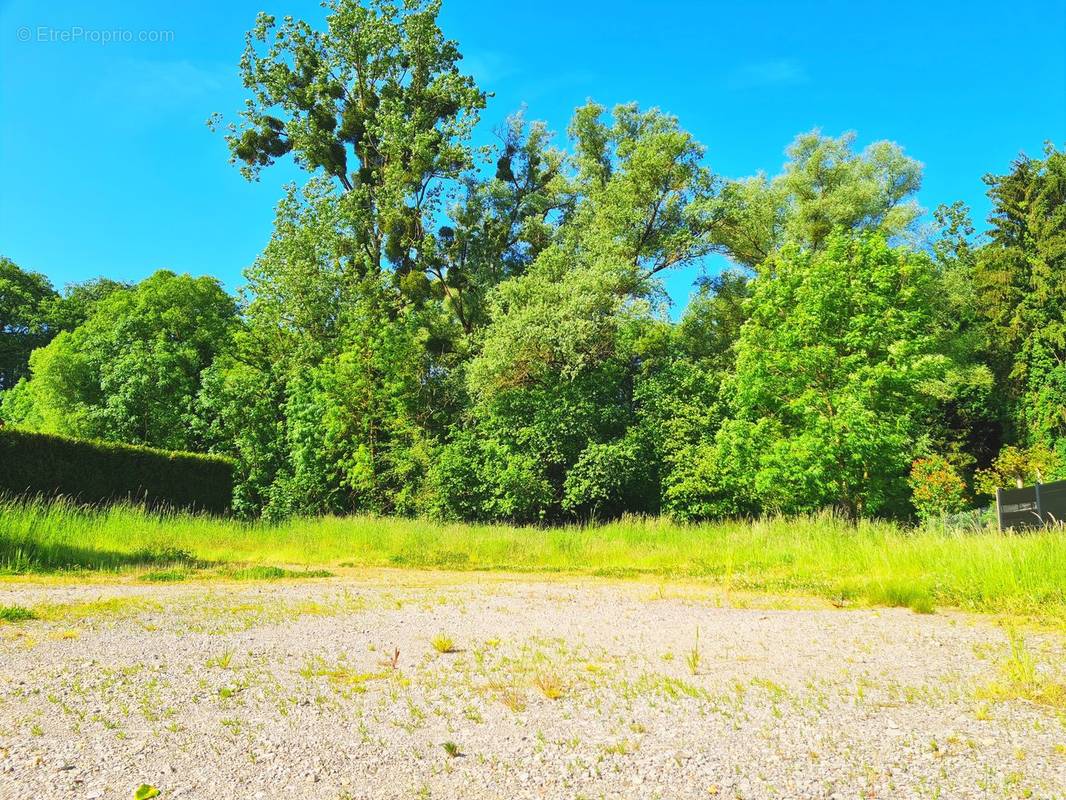 Terrain à LES ETANGS