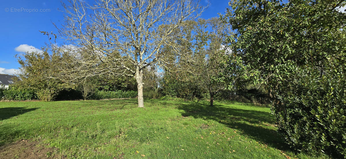 Terrain à QUIMPERLE