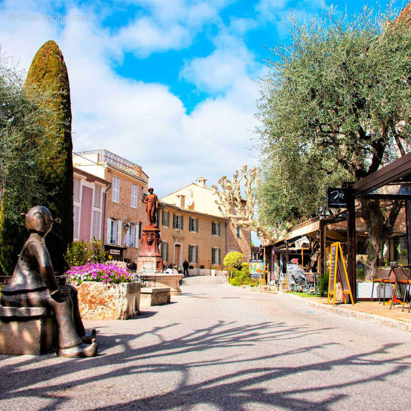 Commerce à MOUGINS