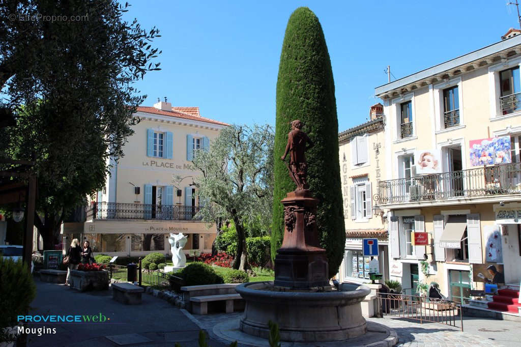 Commerce à MOUGINS