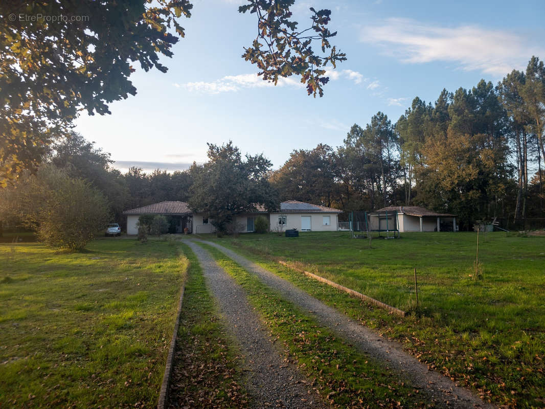 Maison à BAZAS