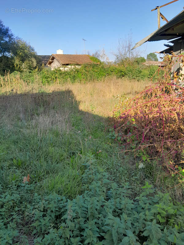 Terrain à LABOUHEYRE