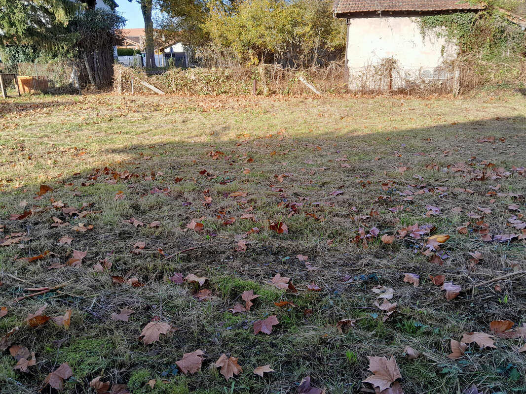 Terrain à LABOUHEYRE