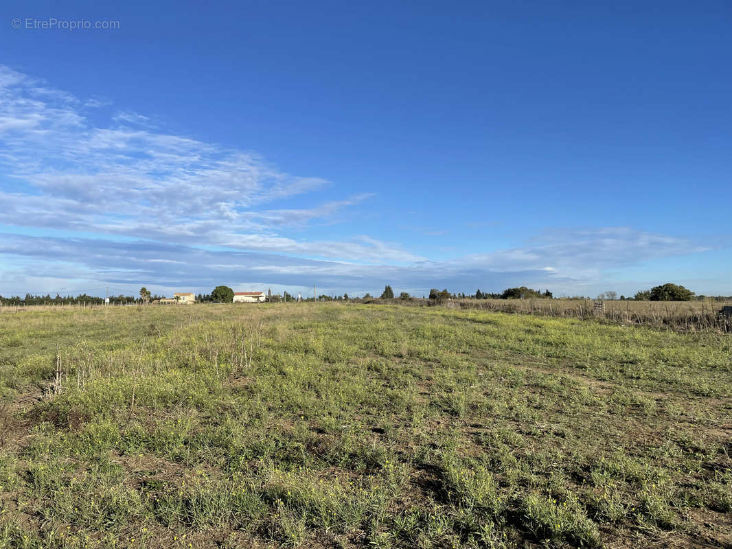 Terrain à AIMARGUES