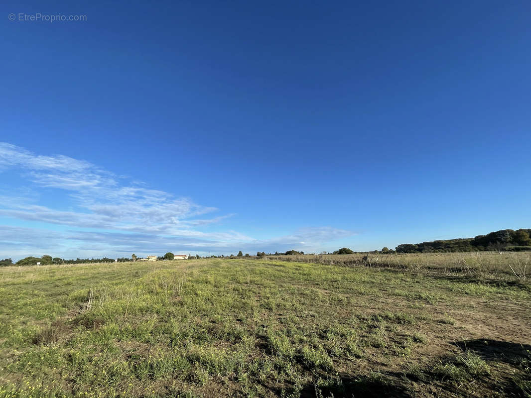 Terrain à AIMARGUES