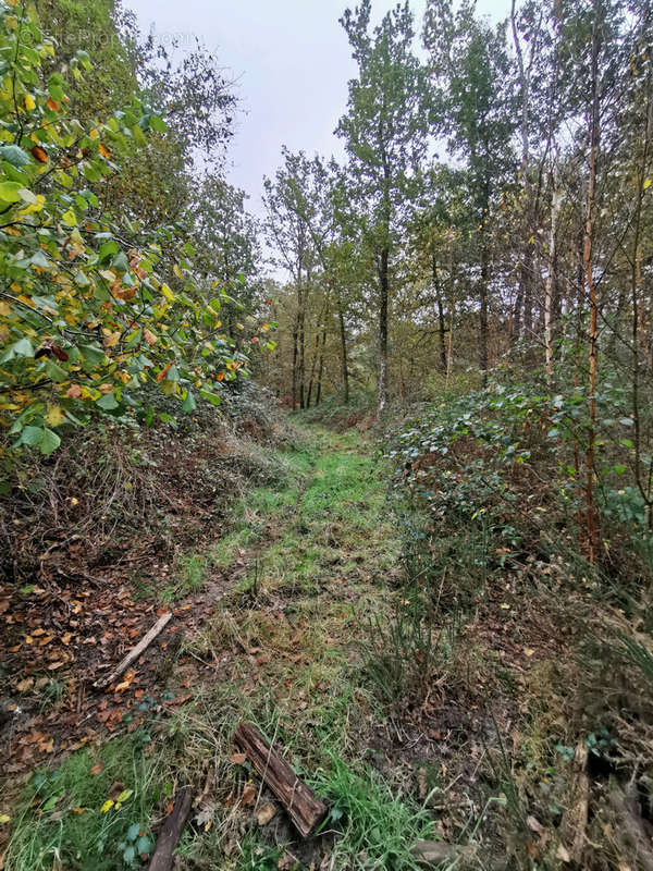 Terrain à GIEVRES