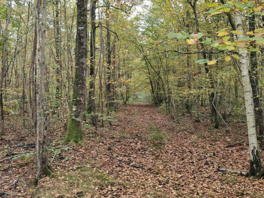 Terrain à GIEVRES