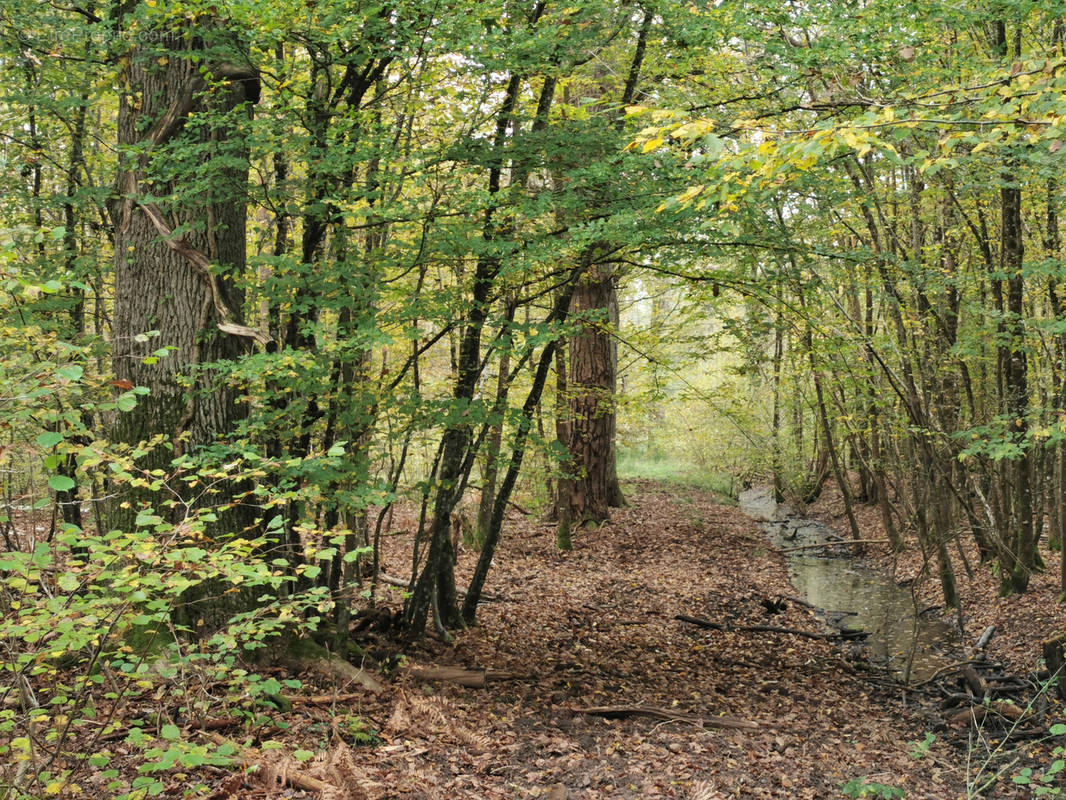 Terrain à GIEVRES