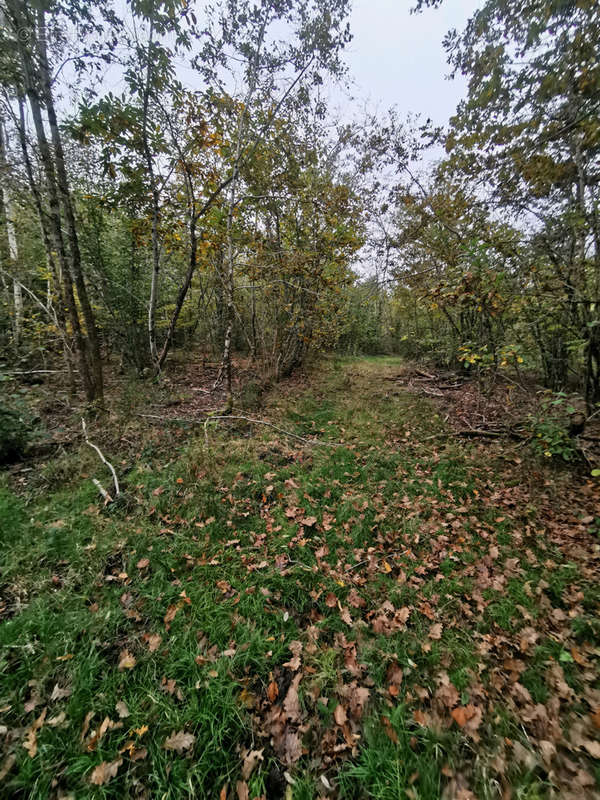 Terrain à GIEVRES