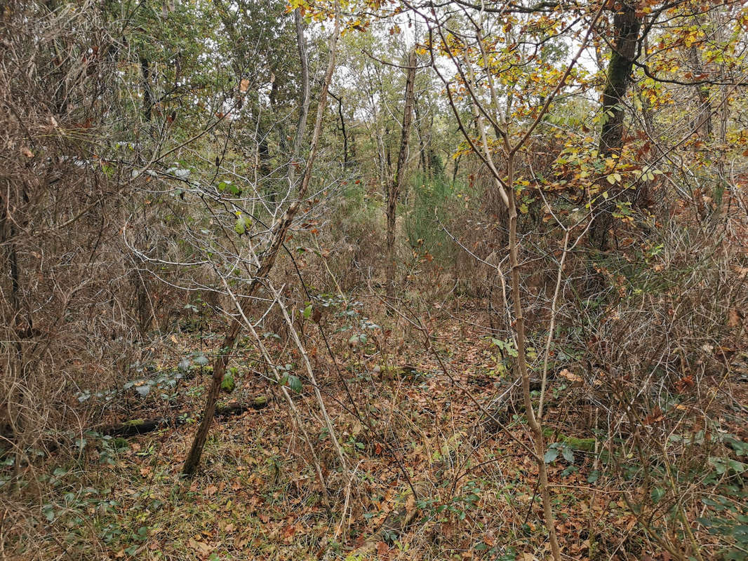 Terrain à GIEVRES