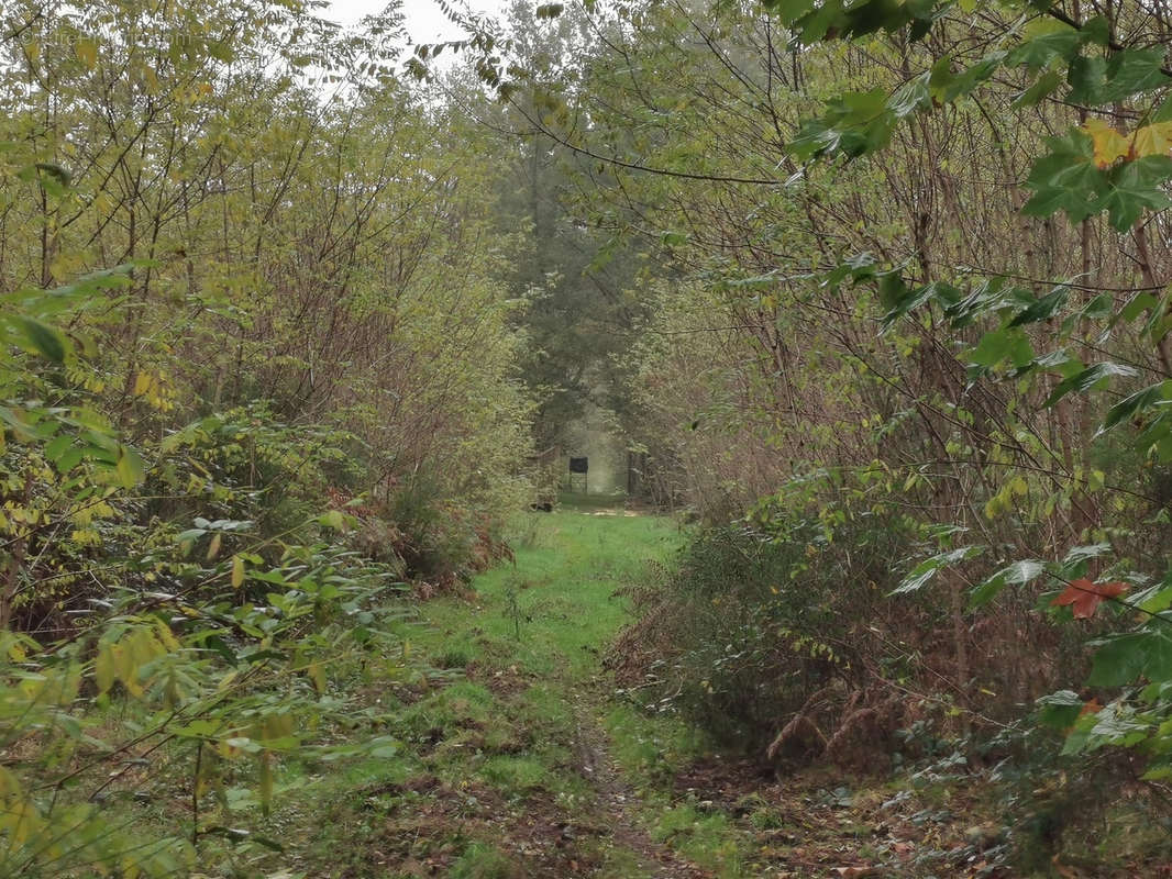 Terrain à GIEVRES