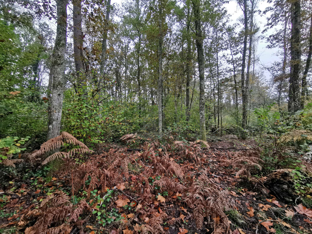 Terrain à GIEVRES