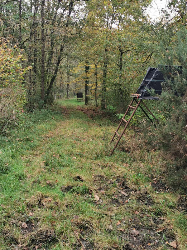 Terrain à GIEVRES