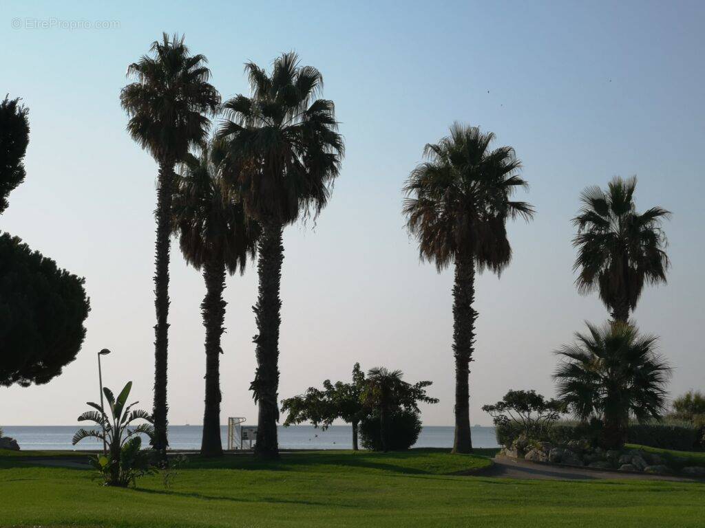 Appartement à LA LONDE-LES-MAURES