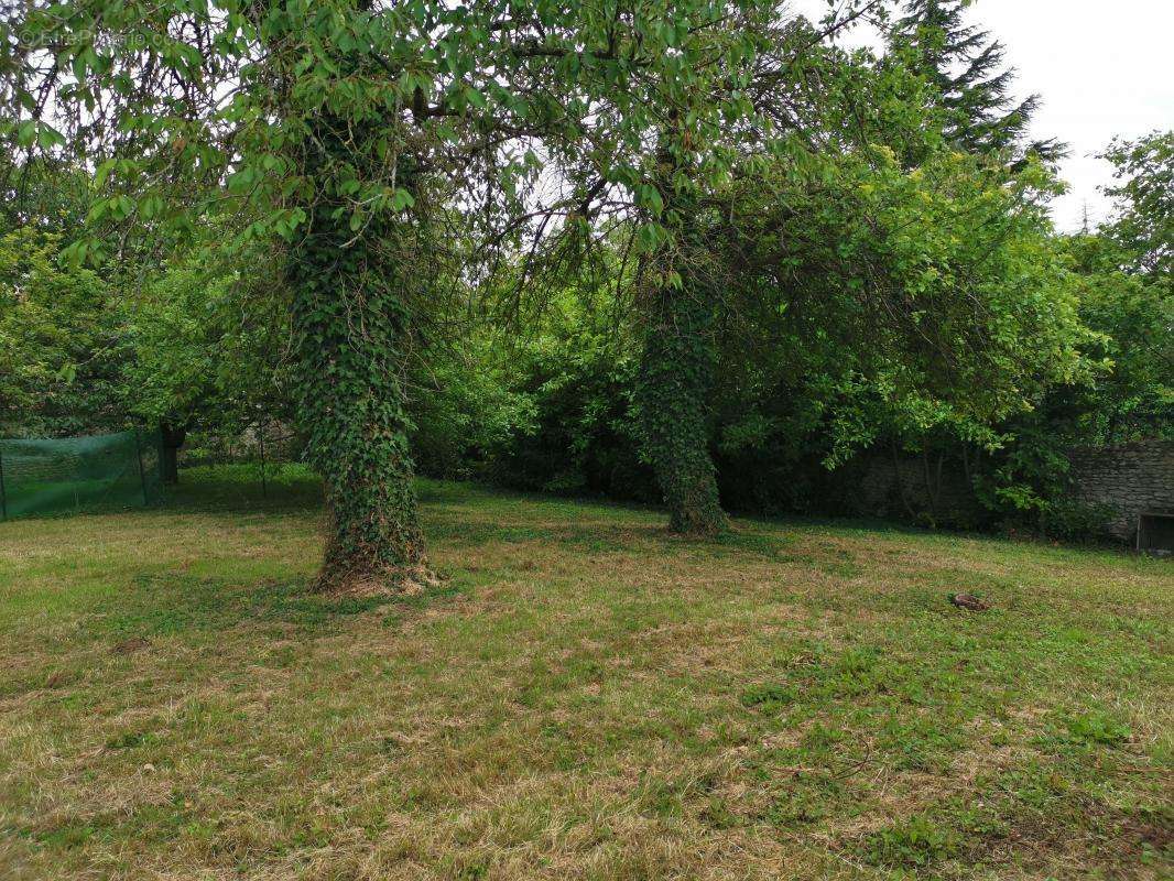 Terrain à BOISSY-LA-RIVIERE