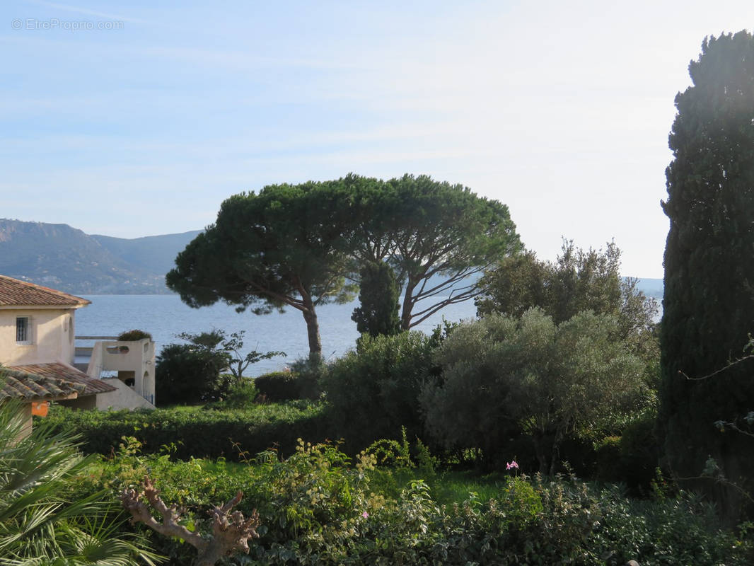 Maison à PORTO-VECCHIO