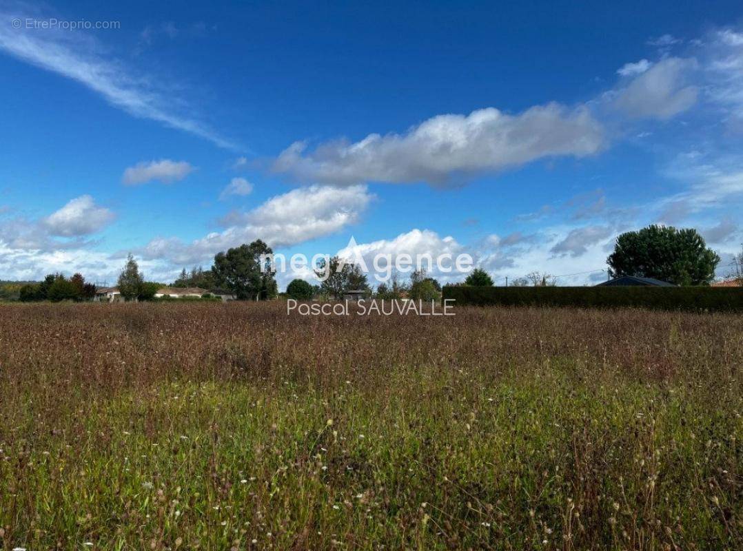 Terrain à SAINT-LEON-SUR-L&#039;ISLE