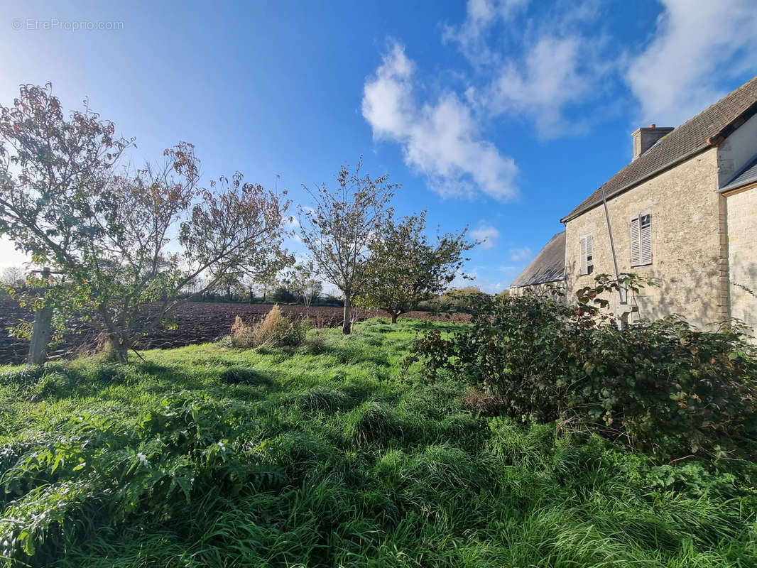 Maison à CRICQUEVILLE-EN-BESSIN