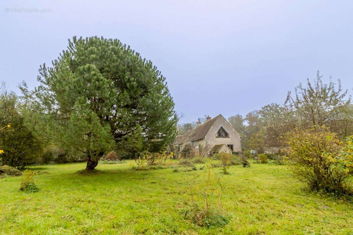 Maison à SELLES-SUR-CHER