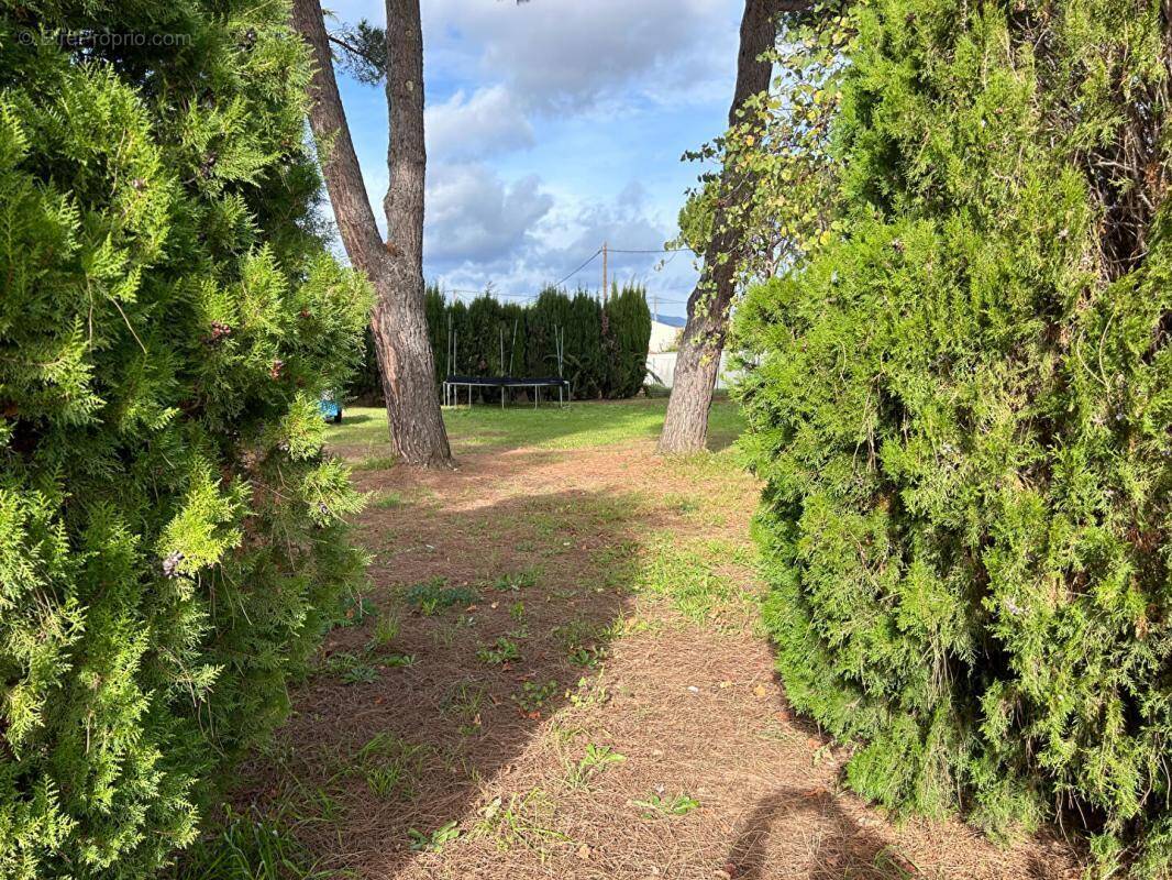 Terrain à SAINT-ANDRE-DE-SANGONIS